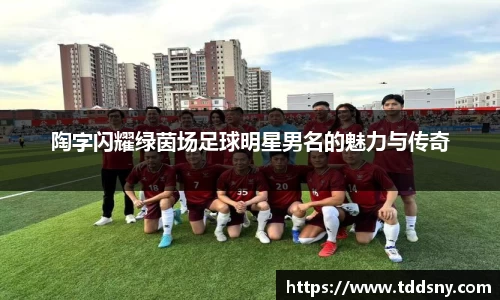 陶字闪耀绿茵场足球明星男名的魅力与传奇